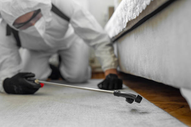 Professional Bed Bug Control technician working in Moose Lake, MN