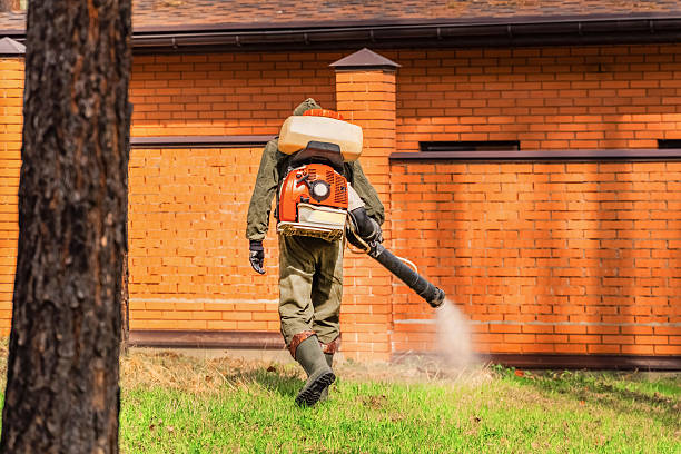Trusted Cockroach Control service in Moose Lake, MN - Nex Pest Control